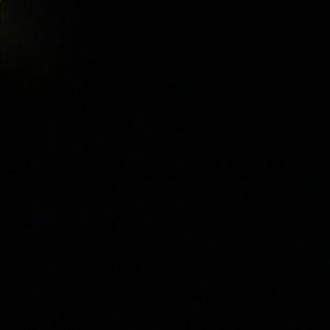 Meet your Posher, Lily